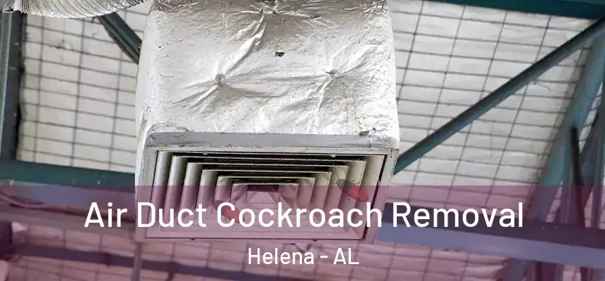  Air Duct Cockroach Removal Helena - AL