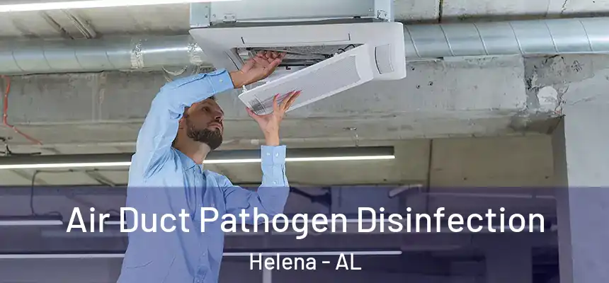  Air Duct Pathogen Disinfection Helena - AL