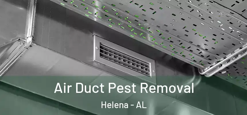 Air Duct Pest Removal Helena - AL
