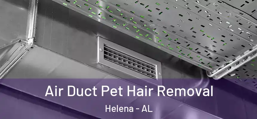  Air Duct Pet Hair Removal Helena - AL