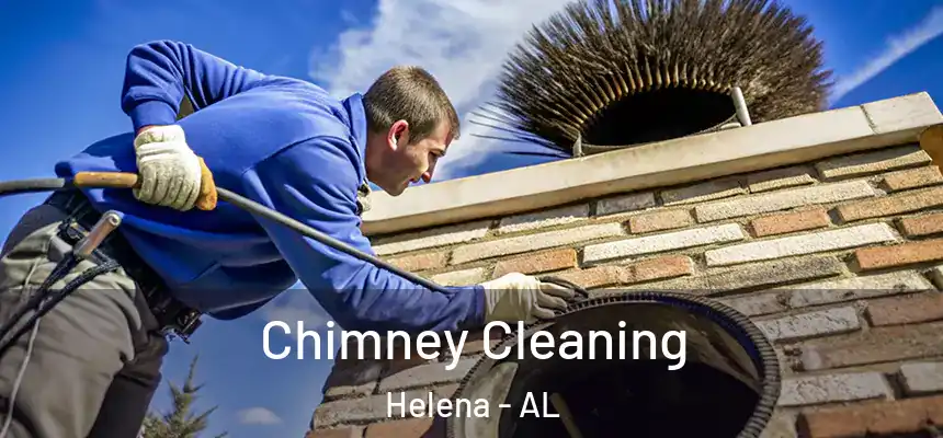  Chimney Cleaning Helena - AL