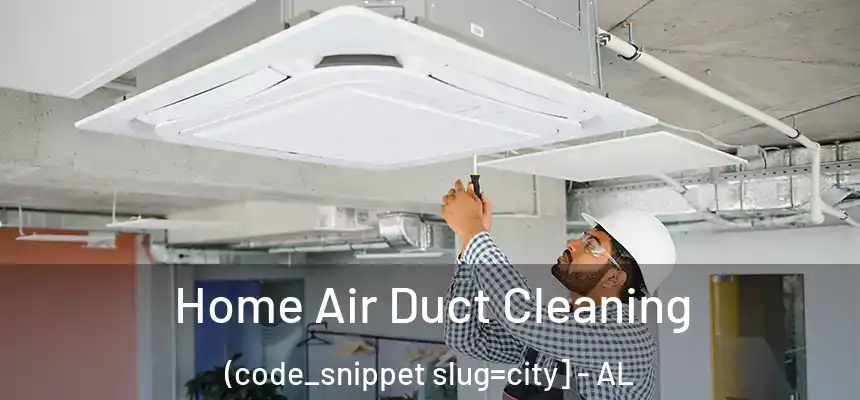  Home Air Duct Cleaning (code_snippet slug=city] - AL
