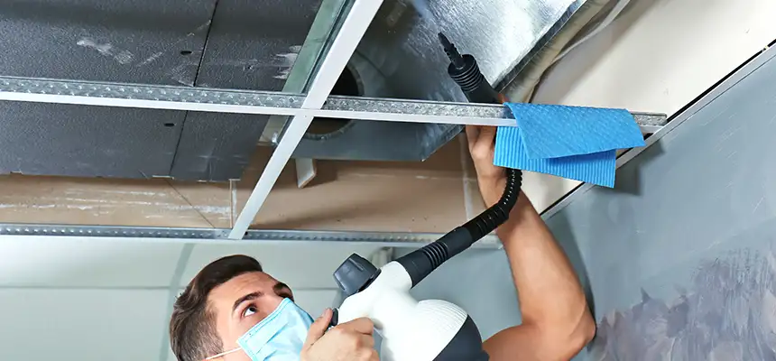 Our Air Duct Rodent Removal Services in Helena, AL