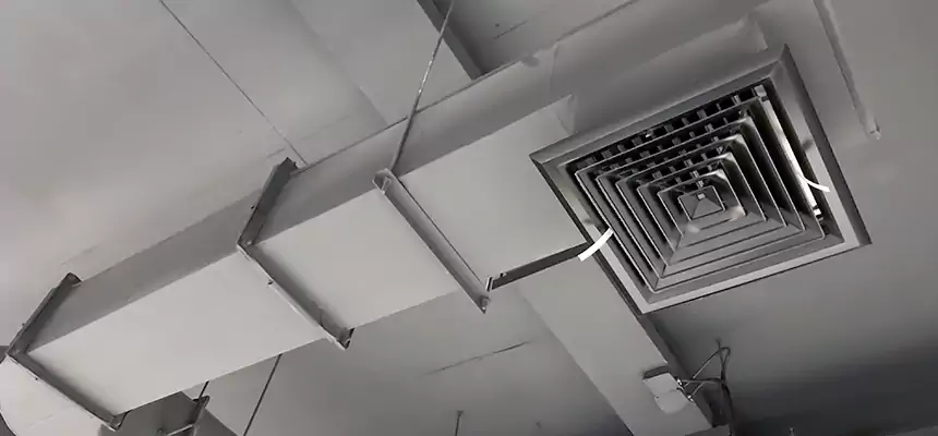 Our Pest Removal From Ducts Services in Helena, AL