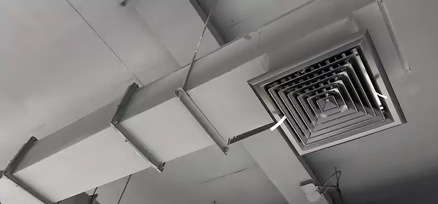 Our Rodent Droppings In Vents Services in Helena, AL