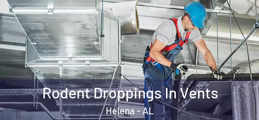Rodent Droppings In Vents Helena - AL