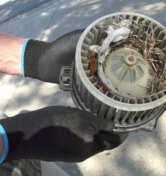 About Air Duct Mice Removal in Helena, AL