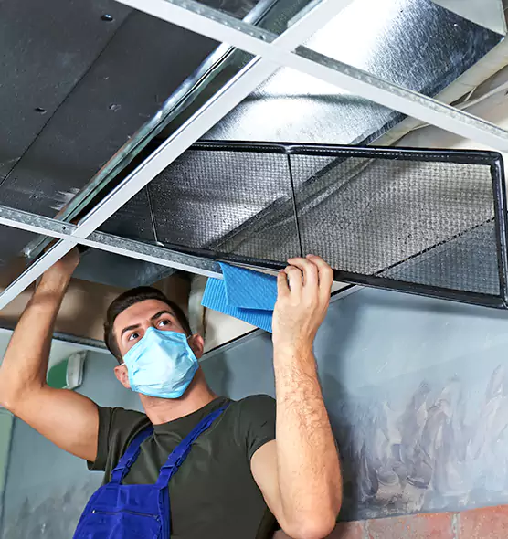 Professional Air Duct Pollen Cleaning in Helena, AL