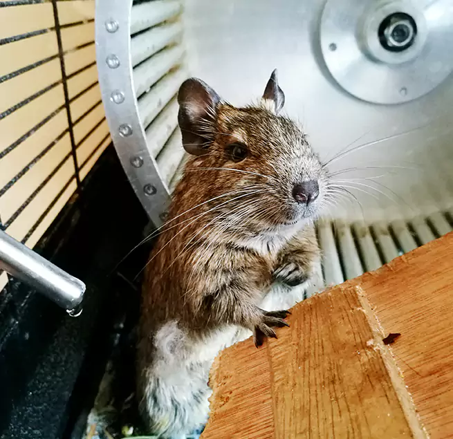 Why Homeowners & Businesses Trust Us Helena, AL