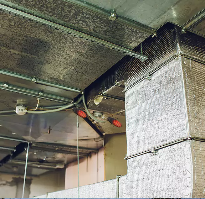 Why Homeowners & Businesses Trust Us Helena, AL?